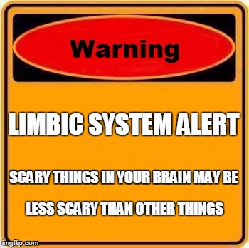 Warning Sign Meme | LIMBIC SYSTEM ALERT SCARY THINGS IN YOUR BRAIN MAY BE LESS SCARY THAN OTHER THINGS | image tagged in memes,warning sign | made w/ Imgflip meme maker