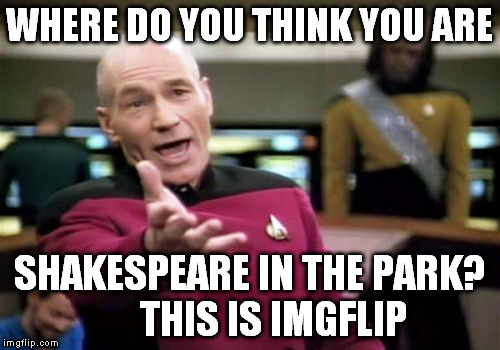 Picard Wtf Meme | WHERE DO YOU THINK YOU ARE SHAKESPEARE IN THE PARK?      THIS IS IMGFLIP | image tagged in memes,picard wtf | made w/ Imgflip meme maker