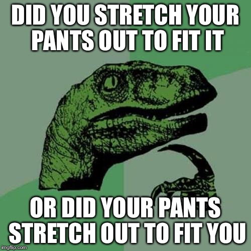Philosoraptor Meme | DID YOU STRETCH YOUR PANTS OUT TO FIT IT OR DID YOUR PANTS STRETCH OUT TO FIT YOU | image tagged in memes,philosoraptor | made w/ Imgflip meme maker