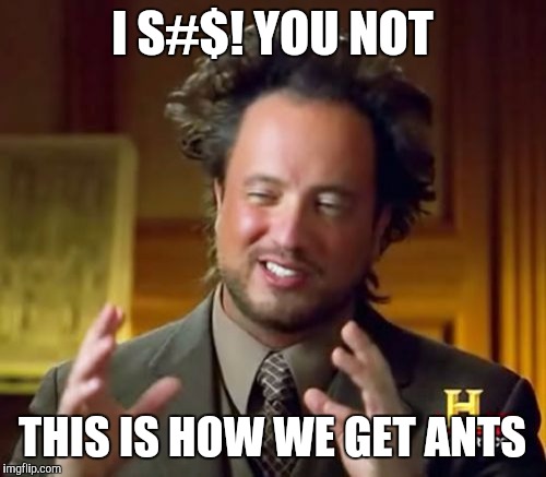 Ancient Aliens | I S#$! YOU NOT THIS IS HOW WE GET ANTS | image tagged in memes,ancient aliens | made w/ Imgflip meme maker