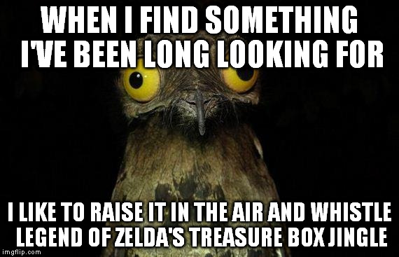Weird Stuff I Do Potoo | WHEN I FIND SOMETHING I'VE BEEN LONG LOOKING FOR I LIKE TO RAISE IT IN THE AIR AND WHISTLE LEGEND OF ZELDA'S TREASURE BOX JINGLE | image tagged in memes,weird stuff i do potoo | made w/ Imgflip meme maker
