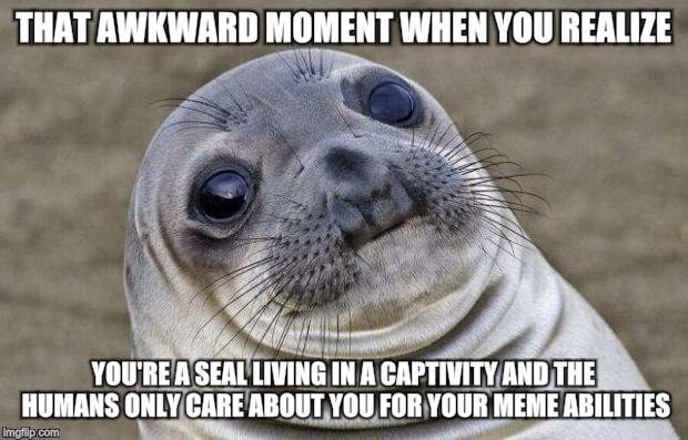 Awkward Moment Sealion | THAT AWKWARD MOMENT WHEN YOU REALIZE YOU'RE A SEAL LIVING IN A CAPTIVITY AND THE HUMANS ONLY CARE ABOUT YOU FOR YOUR MEME ABILITIES | image tagged in memes,awkward moment sealion,encaged seal,human rights,animal rights,peta | made w/ Imgflip meme maker