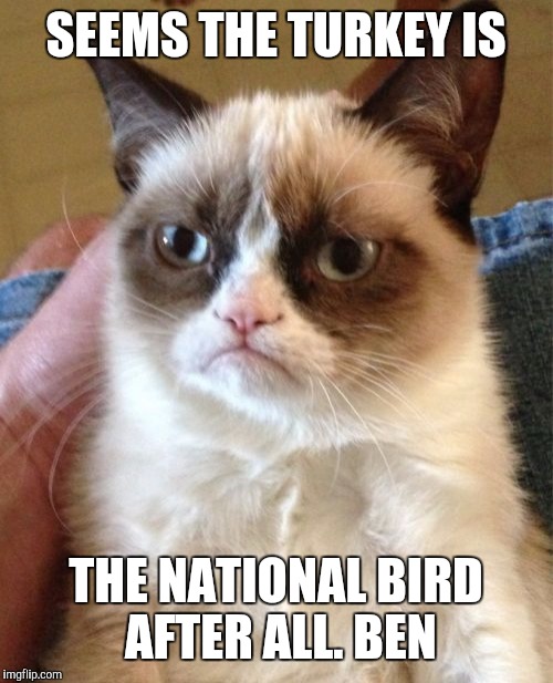 Grumpy Cat | SEEMS THE TURKEY IS THE NATIONAL BIRD AFTER ALL. BEN | image tagged in memes,grumpy cat | made w/ Imgflip meme maker