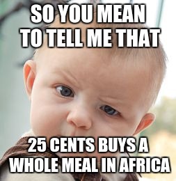 Skeptical Baby Meme | SO YOU MEAN TO TELL ME THAT 25 CENTS BUYS A WHOLE MEAL IN AFRICA | image tagged in memes,skeptical baby | made w/ Imgflip meme maker