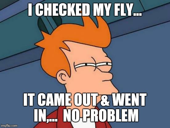 Futurama Fry Meme | I CHECKED MY FLY... IT CAME OUT & WENT IN,...  NO PROBLEM | image tagged in memes,futurama fry | made w/ Imgflip meme maker