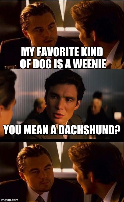 When I tell people this... | MY FAVORITE KIND OF DOG IS A WEENIE YOU MEAN A DACHSHUND? | image tagged in memes,inception | made w/ Imgflip meme maker