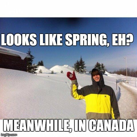 MEANWHILE, IN CANADA | image tagged in canada | made w/ Imgflip meme maker