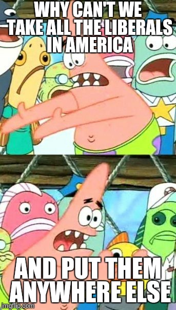 Put It Somewhere Else Patrick Meme | WHY CAN'T WE TAKE ALL THE LIBERALS IN AMERICA AND PUT THEM ANYWHERE ELSE | image tagged in memes,put it somewhere else patrick | made w/ Imgflip meme maker