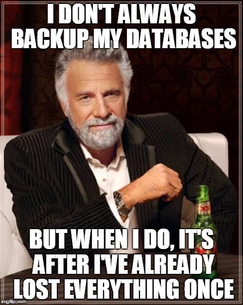 The Most Interesting Man In The World Meme | I DON'T ALWAYS BACKUP MY DATABASES BUT WHEN I DO, IT'S AFTER I'VE ALREADY LOST EVERYTHING ONCE | image tagged in memes,the most interesting man in the world | made w/ Imgflip meme maker