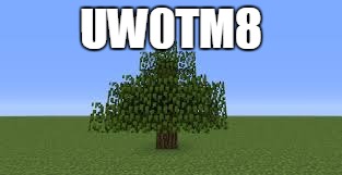 UW0TM8 | made w/ Imgflip meme maker