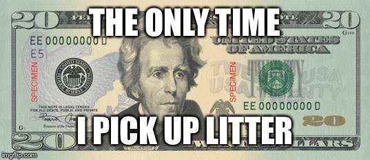 When I Pick Up Litter | THE ONLY TIME I PICK UP LITTER | image tagged in money,litter | made w/ Imgflip meme maker