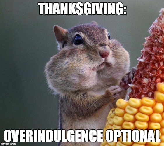 Thanksgiving Squirrel | THANKSGIVING: OVERINDULGENCE OPTIONAL | image tagged in thanksgiving squirrel | made w/ Imgflip meme maker