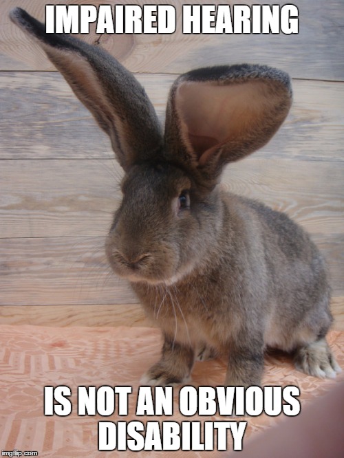 hearing impairment | IMPAIRED HEARING IS NOT AN OBVIOUS DISABILITY | image tagged in disability,deafness,rabbit | made w/ Imgflip meme maker