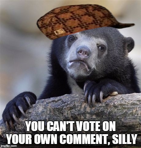 Come on, we've all tried it... | YOU CAN'T VOTE ON YOUR OWN COMMENT, SILLY | image tagged in memes,confession bear,scumbag | made w/ Imgflip meme maker