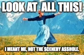 Look At All These | LOOK AT  ALL THIS! I MEANT ME, NOT THE SCENERY ASSHOLE. | image tagged in memes,look at all these | made w/ Imgflip meme maker