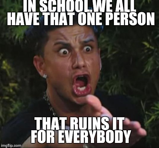 DJ Pauly D Meme | IN SCHOOL,WE ALL HAVE THAT ONE PERSON THAT RUINS IT FOR EVERYBODY | image tagged in memes,dj pauly d | made w/ Imgflip meme maker