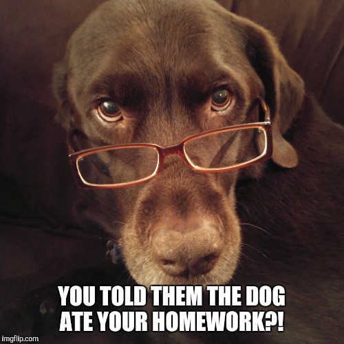 the dog ate my homework idiom