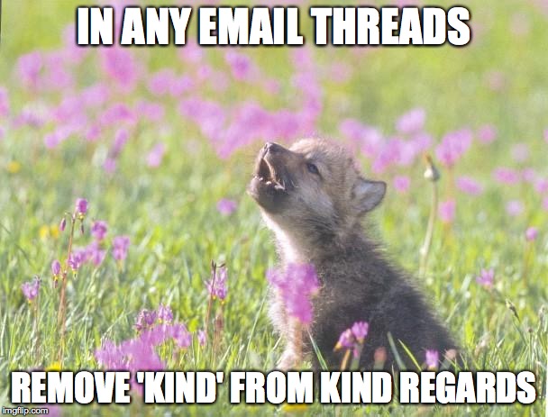 Baby Insanity Wolf Meme | IN ANY EMAIL THREADS REMOVE 'KIND' FROM KIND REGARDS | image tagged in memes,baby insanity wolf,AdviceAnimals | made w/ Imgflip meme maker