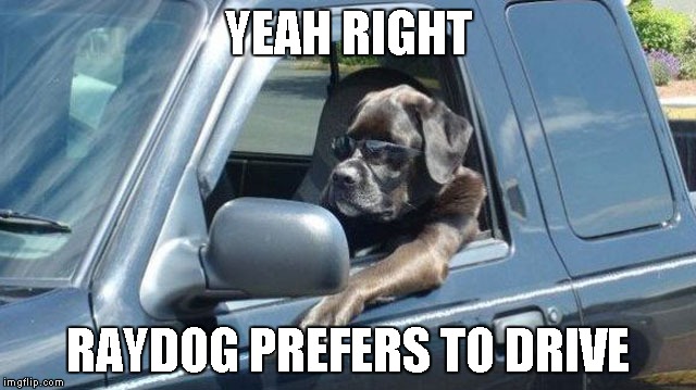 YEAH RIGHT RAYDOG PREFERS TO DRIVE | made w/ Imgflip meme maker