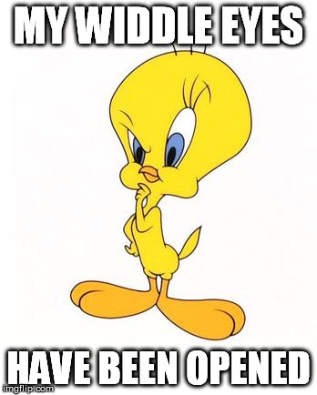 tweety | MY WIDDLE EYES HAVE BEEN OPENED | image tagged in tweety | made w/ Imgflip meme maker