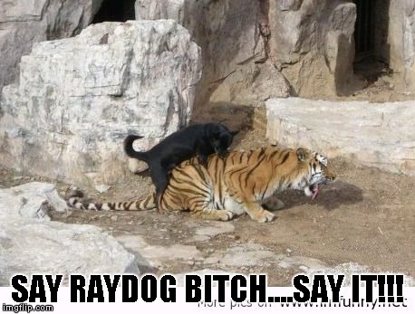 SAY RAYDOG B**CH....SAY IT!!! | made w/ Imgflip meme maker