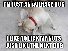 I'M JUST AN AVERAGE DOG I LIKE TO LICK MY NUTS JUST LIKE THE NEXT DOG | made w/ Imgflip meme maker