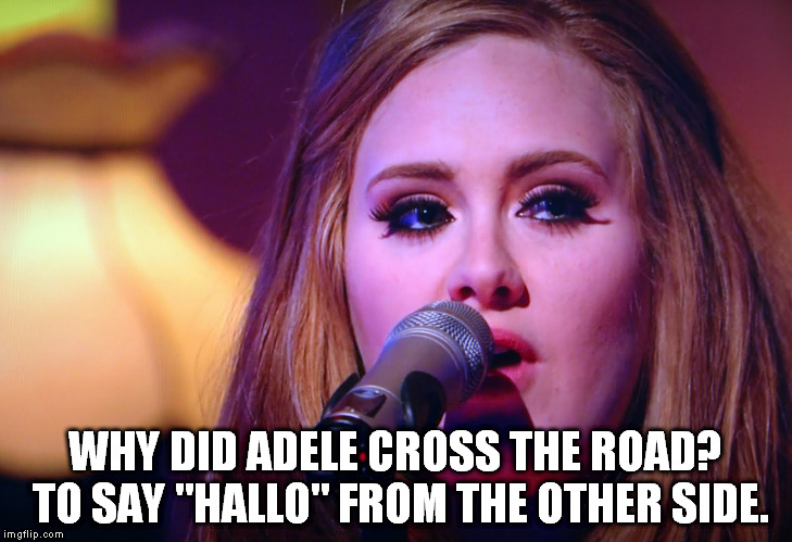 WHY DID ADELE CROSS THE ROAD? TO SAY "HALLO" FROM THE OTHER SIDE. | image tagged in adele | made w/ Imgflip meme maker