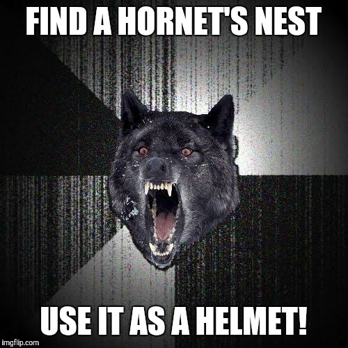 Insanity Wolf Meme | FIND A HORNET'S NEST USE IT AS A HELMET! | image tagged in memes,insanity wolf | made w/ Imgflip meme maker