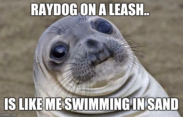 Awkward Moment Sealion Meme | RAYDOG ON A LEASH.. IS LIKE ME SWIMMING IN SAND | image tagged in memes,awkward moment sealion | made w/ Imgflip meme maker