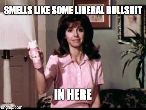 SMELLS LIKE SOME LIBERAL BULLSHIT IN HERE | made w/ Imgflip meme maker