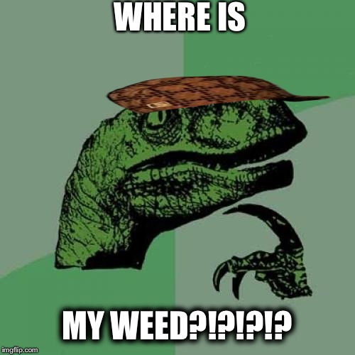 Philosoraptor | WHERE IS MY WEED?!?!?!? | image tagged in memes,philosoraptor,scumbag | made w/ Imgflip meme maker