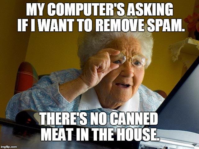 Grandma internet spam | MY COMPUTER'S ASKING IF I WANT TO REMOVE SPAM. THERE'S NO CANNED MEAT IN THE HOUSE. | image tagged in memes,grandma finds the internet | made w/ Imgflip meme maker