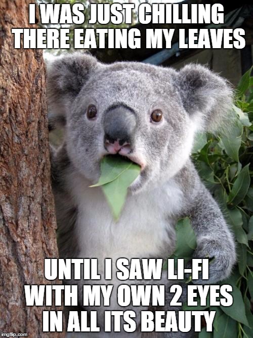 Seriously, when will li-fi be available ;-; | I WAS JUST CHILLING THERE EATING MY LEAVES UNTIL I SAW LI-FI WITH MY OWN 2 EYES IN ALL ITS BEAUTY | image tagged in memes,surprised koala | made w/ Imgflip meme maker