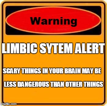 Warning Sign Meme | LIMBIC SYTEM ALERT SCARY THINGS IN YOUR BRAIN MAY BE LESS DANGEROUS THAN OTHER THINGS | image tagged in memes,warning sign | made w/ Imgflip meme maker