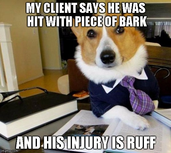 Lawyer Dog | MY CLIENT SAYS HE WAS HIT WITH PIECE OF BARK AND HIS INJURY IS RUFF | image tagged in lawyer dog | made w/ Imgflip meme maker