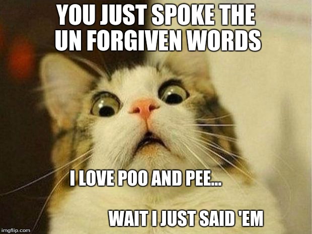 Scared Cat Meme | YOU JUST SPOKE THE UN FORGIVEN WORDS I LOVE POO AND PEE...                                                        WAIT I JUST SAID 'EM | image tagged in memes,scared cat | made w/ Imgflip meme maker