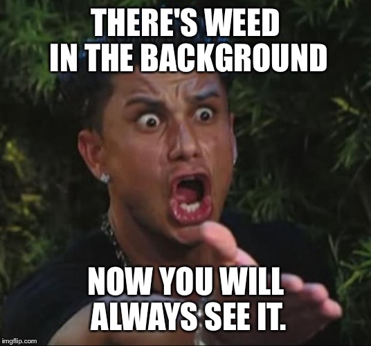 DJ Pauly D Meme | THERE'S WEED IN THE BACKGROUND NOW YOU WILL ALWAYS SEE IT. | image tagged in memes,dj pauly d | made w/ Imgflip meme maker