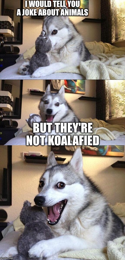 Bad Pun Dog | I WOULD TELL YOU A JOKE ABOUT ANIMALS BUT THEY'RE NOT KOALAFIED | image tagged in bad pun dog | made w/ Imgflip meme maker