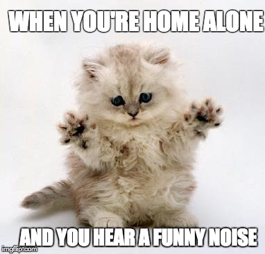 WHEN YOU'RE HOME ALONE AND YOU HEAR A FUNNY NOISE | image tagged in scared cat,home alone | made w/ Imgflip meme maker
