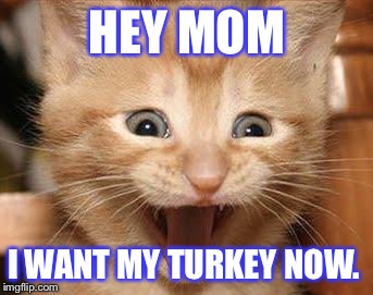 Excited Cat Meme | HEY MOM I WANT MY TURKEY NOW. | image tagged in memes,excited cat | made w/ Imgflip meme maker