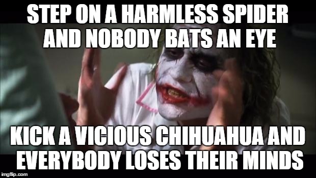 And everybody loses their minds Meme | STEP ON A HARMLESS SPIDER AND NOBODY BATS AN EYE KICK A VICIOUS CHIHUAHUA AND EVERYBODY LOSES THEIR MINDS | image tagged in memes,and everybody loses their minds | made w/ Imgflip meme maker