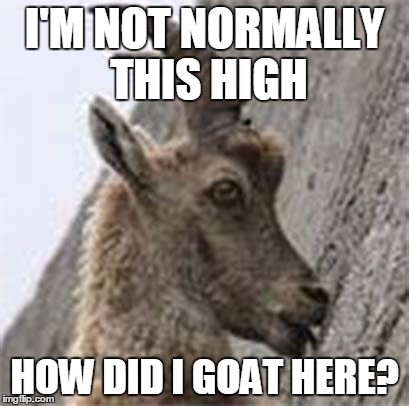 You goat to be kidding me! | I'M NOT NORMALLY THIS HIGH HOW DID I GOAT HERE? | image tagged in imgflip 10 guy goat,memes | made w/ Imgflip meme maker