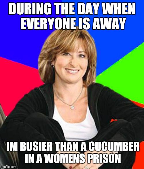 Sheltering Suburban Mom | DURING THE DAY WHEN EVERYONE IS AWAY IM BUSIER THAN A CUCUMBER IN A WOMENS PRISON | image tagged in memes,sheltering suburban mom | made w/ Imgflip meme maker