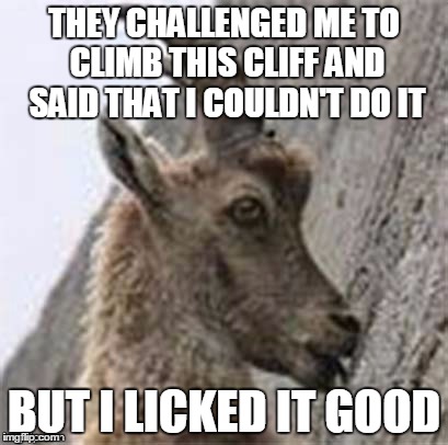 THEY CHALLENGED ME TO CLIMB THIS CLIFF AND SAID THAT I COULDN'T DO IT BUT I LICKED IT GOOD | made w/ Imgflip meme maker