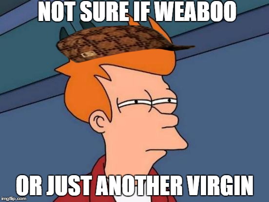 Futurama Fry Meme | NOT SURE IF WEABOO OR JUST ANOTHER VIRGIN | image tagged in memes,futurama fry,scumbag | made w/ Imgflip meme maker