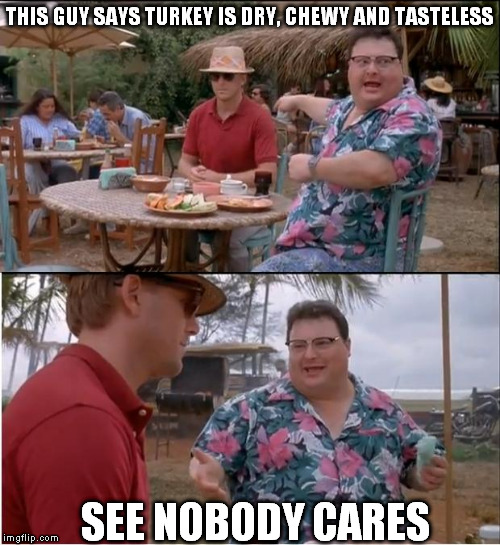 See Nobody Cares | THIS GUY SAYS TURKEY IS DRY, CHEWY AND TASTELESS SEE NOBODY CARES | image tagged in memes,see nobody cares | made w/ Imgflip meme maker
