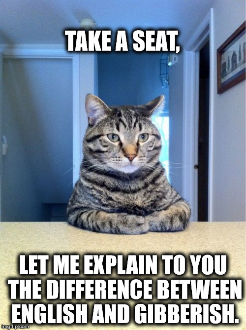Take A Seat Cat | TAKE A SEAT, LET ME EXPLAIN TO YOU THE DIFFERENCE BETWEEN ENGLISH AND GIBBERISH. | image tagged in memes,take a seat cat | made w/ Imgflip meme maker
