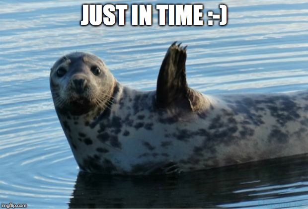 Seal | JUST IN TIME :-) | image tagged in seal | made w/ Imgflip meme maker