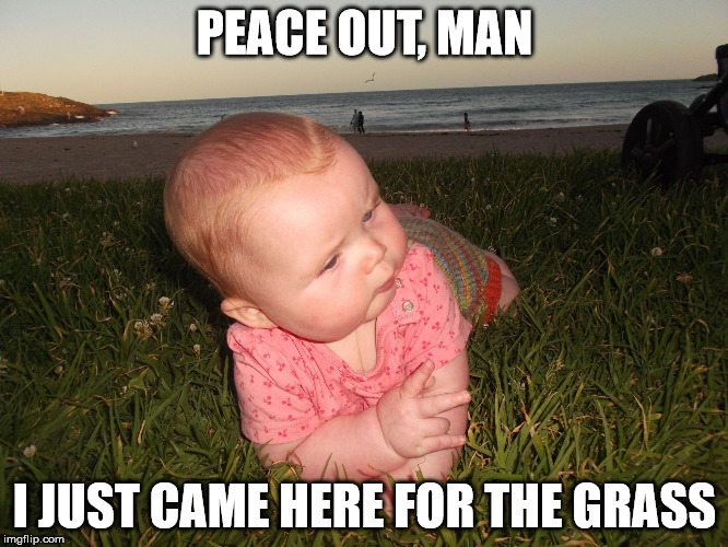 Chillaxed Baby | PEACE OUT, MAN I JUST CAME HERE FOR THE GRASS | image tagged in chillaxed baby | made w/ Imgflip meme maker