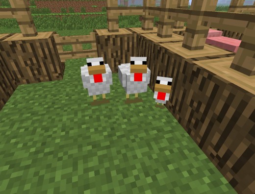 Minecraft chickens Blank Meme Template